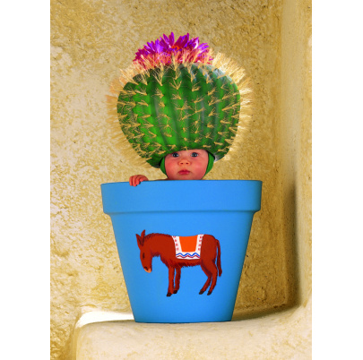 1000 ks puzzle Kaktus