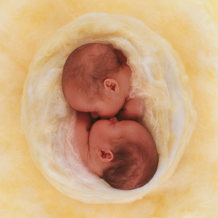 500 ks puzzle Dvojičky