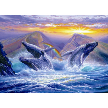 1000 ks puzzle Tri veľryby