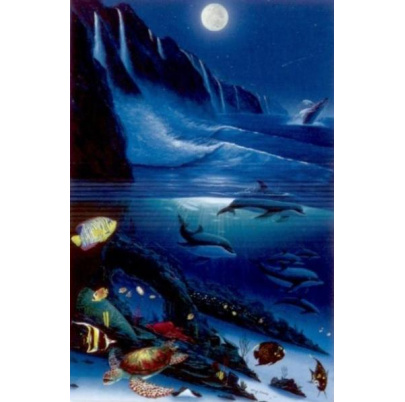 500 ks puzzle Mesačné noci
