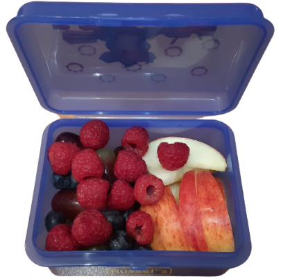 Desiatová dóza Slon