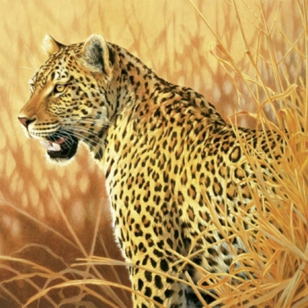 1000 ks puzzle Leopard