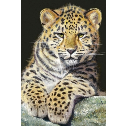 500 ks puzzle Malý leopard