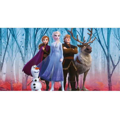 Frozen poháre 300 ml 4 kusy