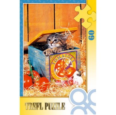60 ks puzzle Mačiatko v debničke
