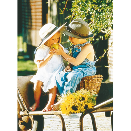 500 ks puzzle Spiel Spass Malý džentlmen