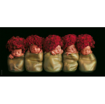 750 ks puzzle Ružičky