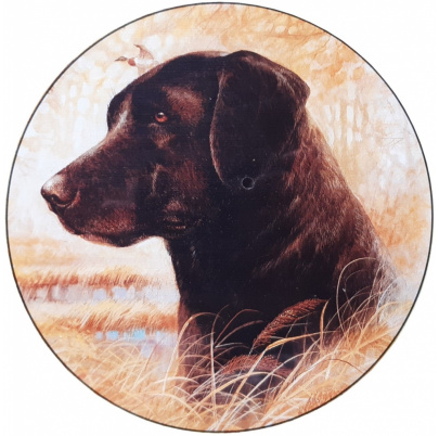 500 ks puzzle okrúhle Labradorský retríver