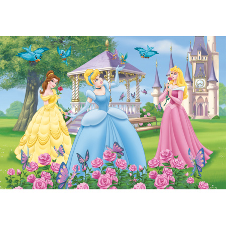 120 ks 3D puzzle Disney Princezné