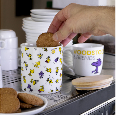Snoopy skladovacia dóza 550 ml Woodstock