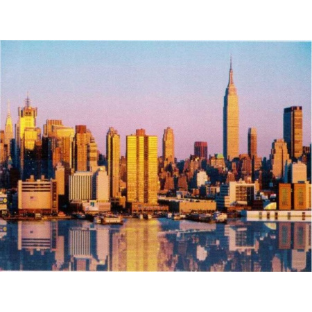 1000 ks puzzle New York