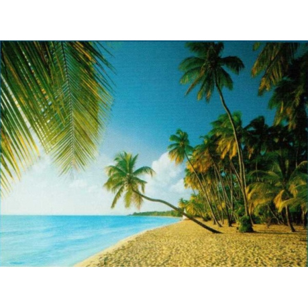 1000 ks puzzle Tropic