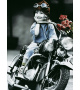 54 ks puzzle mini Kim Anderson Ideš so mnou?