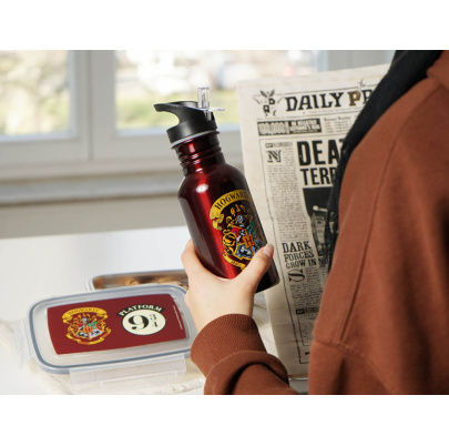 Harry Potter fľaša so slamkou 500 ml 9 3/4 a Erb