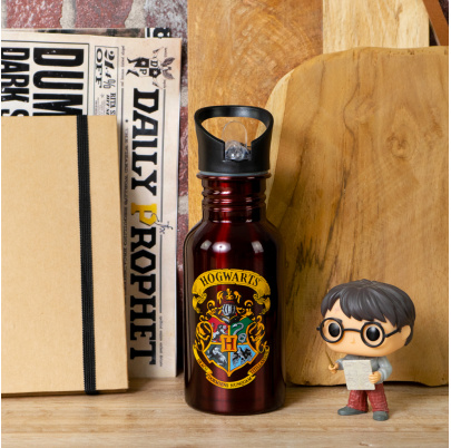 Harry Potter fľaša so slamkou 500 ml 9 3/4 a Erb