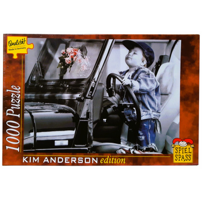 1000 ks puzzle Kim Anderson Na dlhej ceste