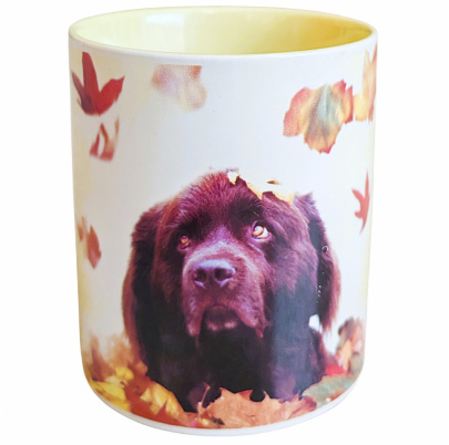 Rachael Hale hrnček 300 ml pes Autumn Henry