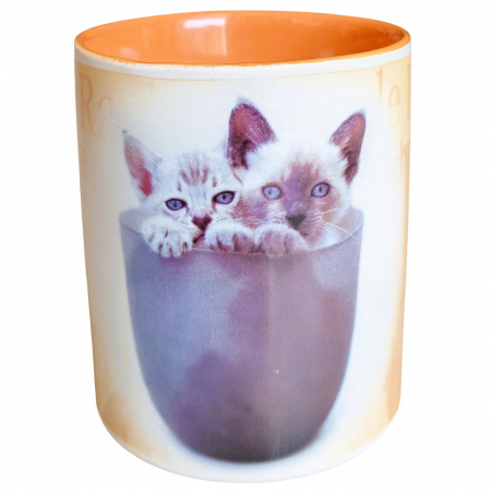 Rachael Hale hrnček 300 ml mačky Samuel a Suzy