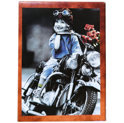 54 ks puzzle mini Kim Anderson Ideš so mnou?